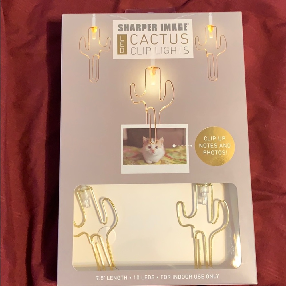 Cactus Photo display light strand